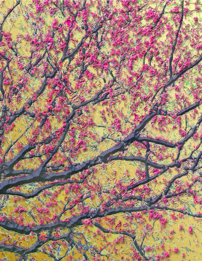 œuvre digitale illustration numérique arbre