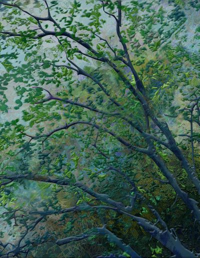 artiste numérique creation nature