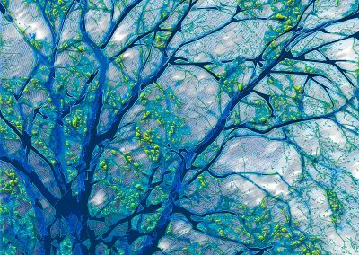nature creation numerique arbre bleu