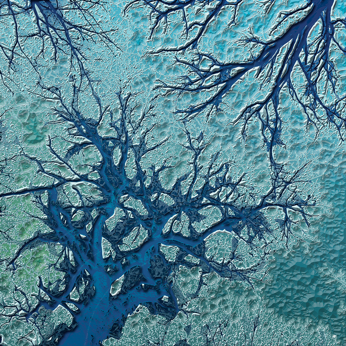 Capturing the Essence of Nature: A New Series of Breathtaking Digital Prints