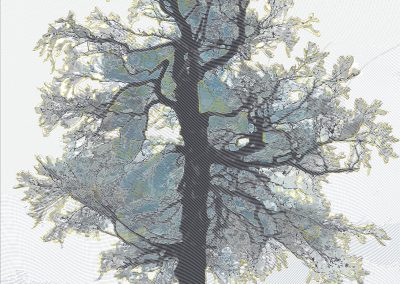 L’arbre du crêt Monniot