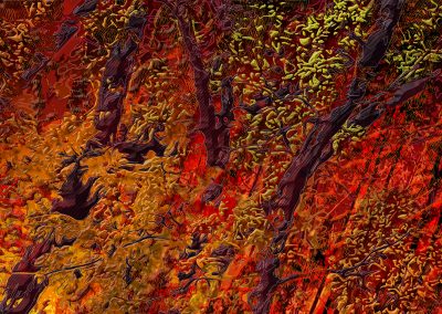La forêt en flamme. Œuvres numérique sur le thème de la destruction de la nature par le feu