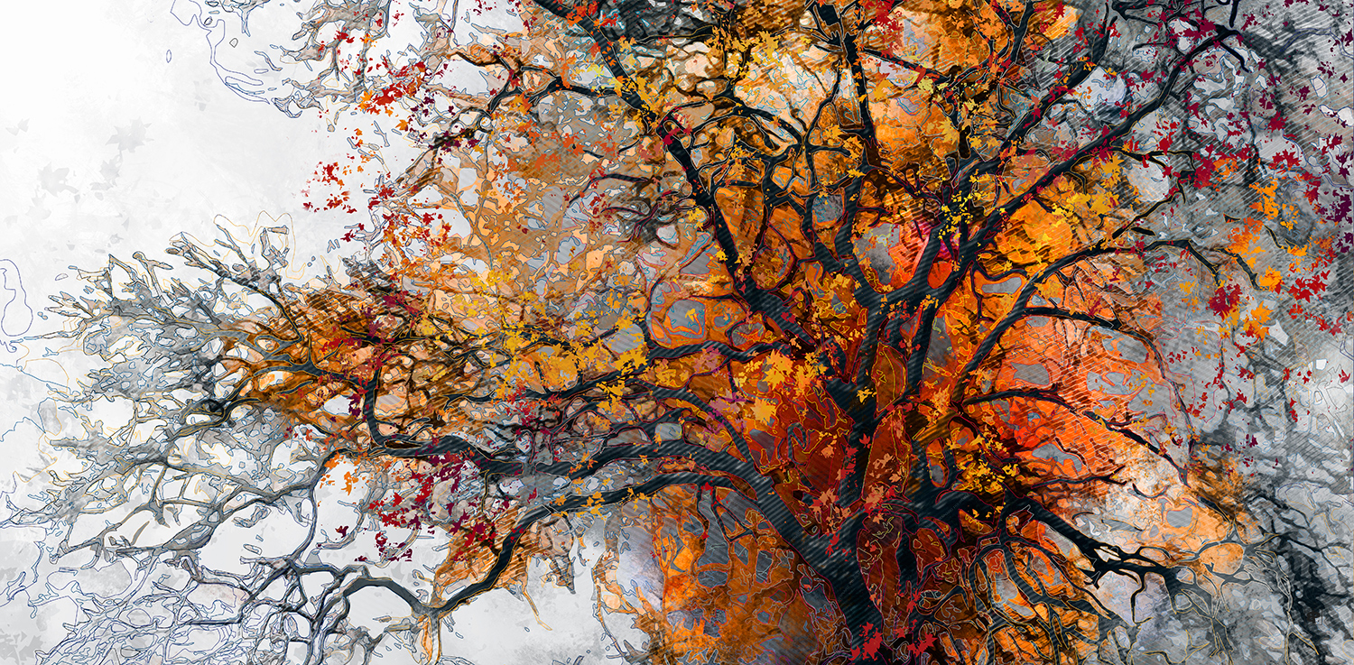 nature art numérique, création d'après photo, oeuvre numérique sans IA