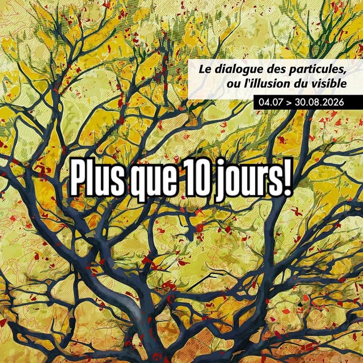 Bernard Pourchet - artiste numerique